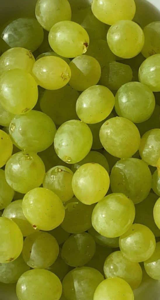 Raisin bio de saison pour nos paniers a composer