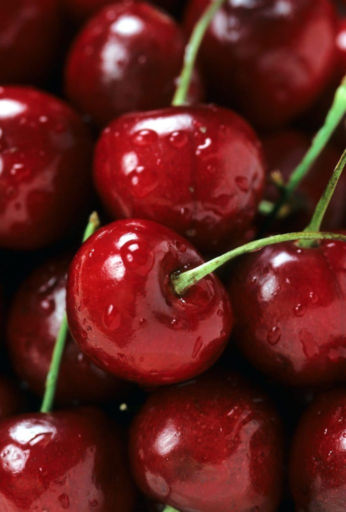 Cerise bio de saison
